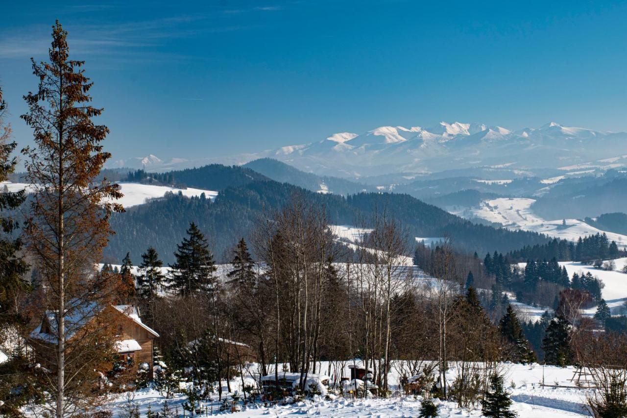 Apartman Jesienka, Hillside ドルニー・クビーン エクステリア 写真